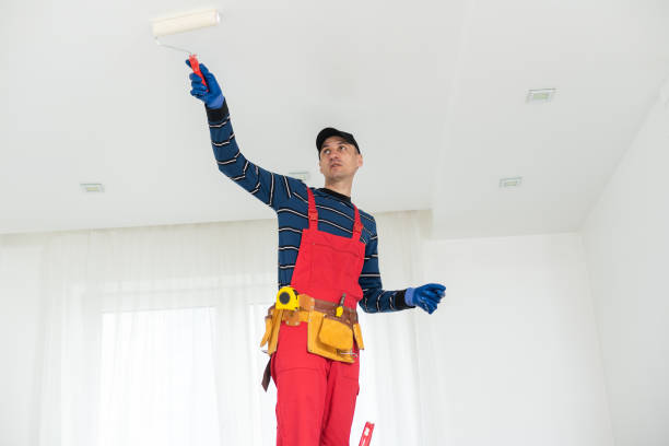 Best Ceiling Drywall Installation  in Huntley, IL